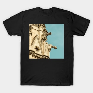 Gargoyles Revisited T-Shirt